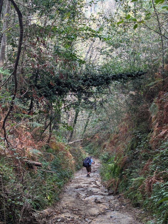 Dry stretch (Camino del Norte 4)