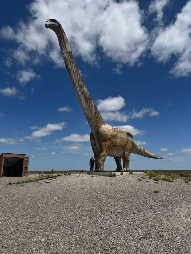 Trelew: also the paleontological museum was closed with zero information if or when it will be opened again. But outside there is the life size model of a Patagonium Mayorum, which bones were found in the region. 
