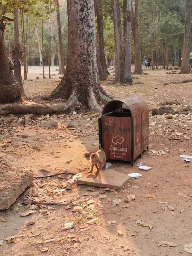 On Temple Tour in Siem Reap