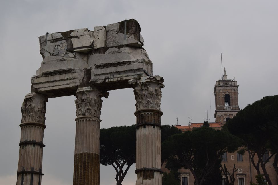 Viaggio in città a Roma