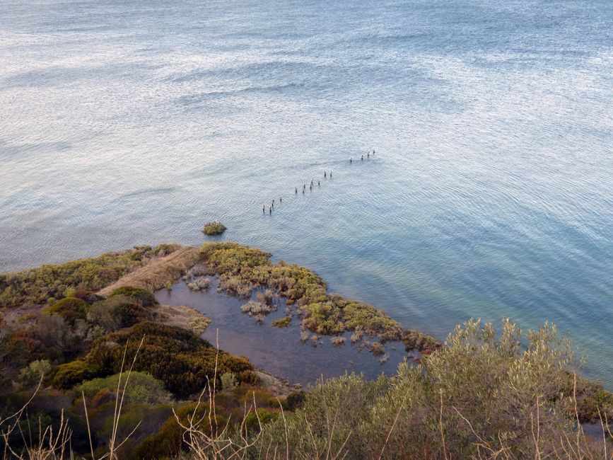 Costa rinaturalizzata a Kingscote