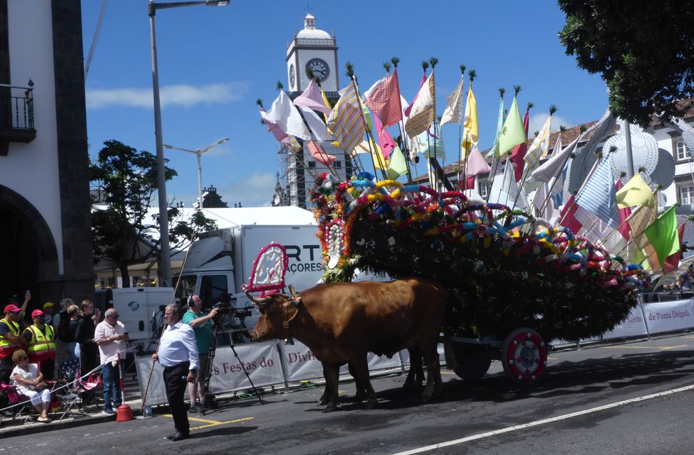 2025-07-12 Azores, Ponta Delgada