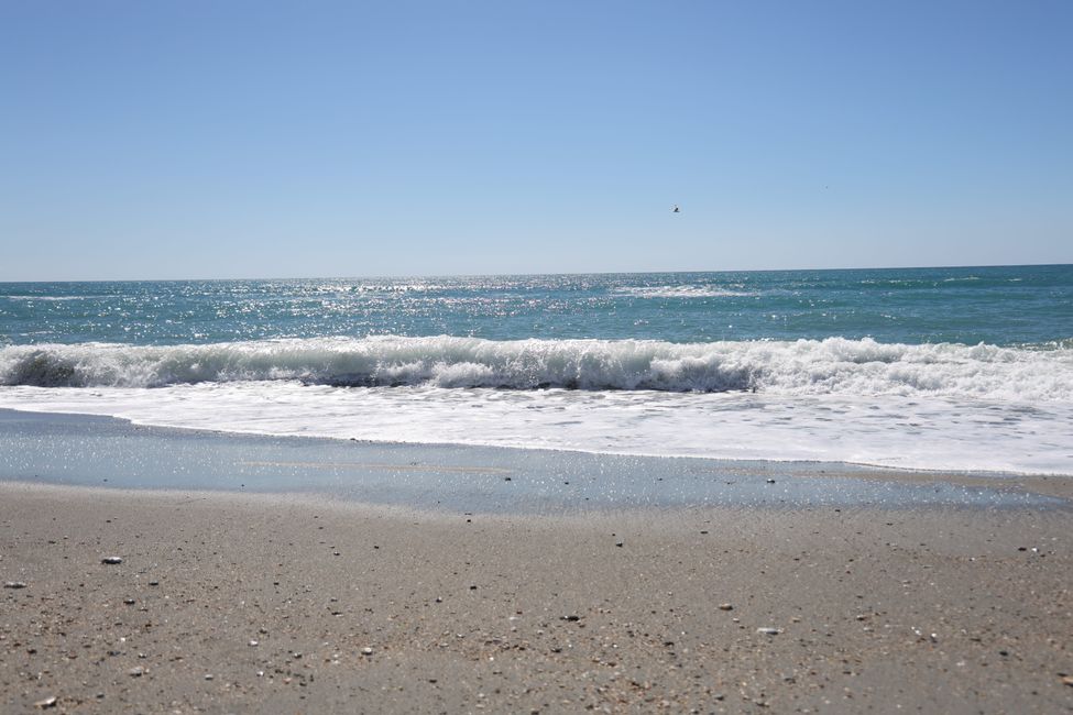 West Coast bis Jackson Bay