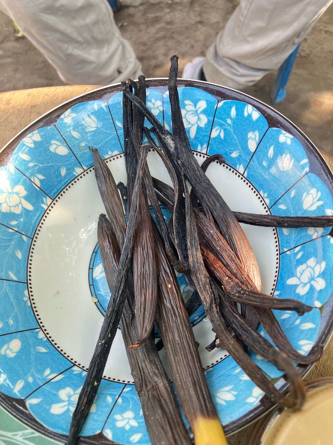 Schimpansen im Kalinzu Forest und Twin Lakes