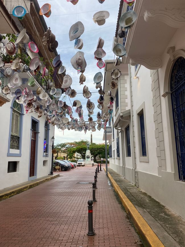 Panama 🇵🇦 🌴