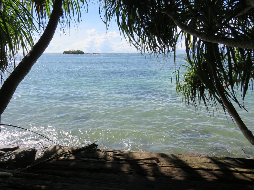 Matara - Mauvais temps, pas de baleines, mais des Salties (crocodiles d'eau salée)