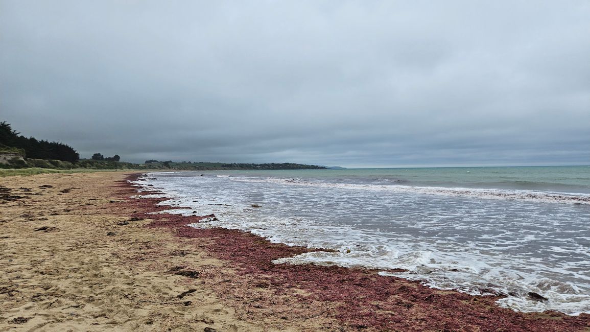 Timaru - Oamaru - Moeraki - Dunedin - Otago Peninsula - Oamaru