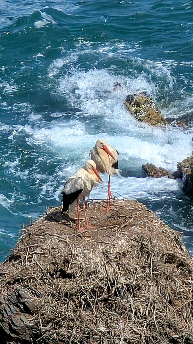 8. Etappe von Odeceixe nach Zambujeira do Mar