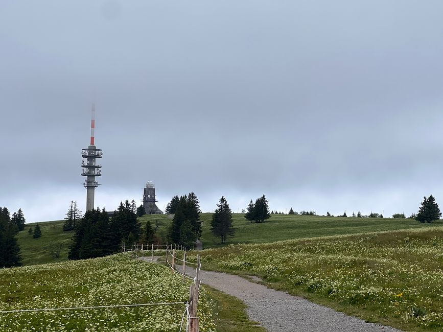 26 Feldbergsteig Escursione Pro Wolermoos