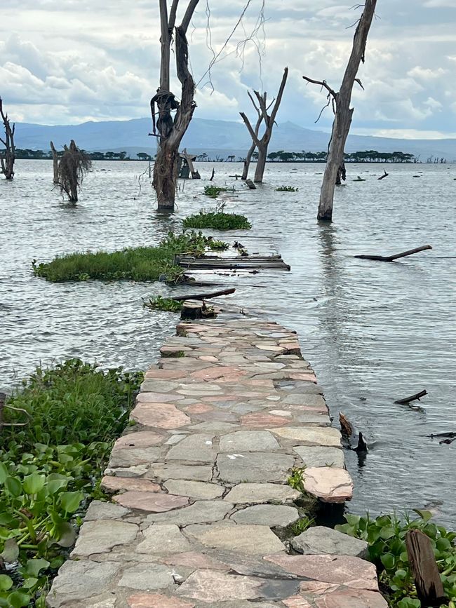 Die Arche zum Naivashasee