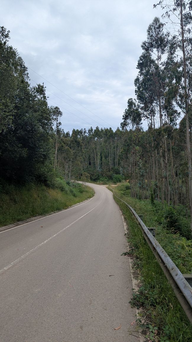 5. Etappe Camino del Norte von Santona nach Güemes