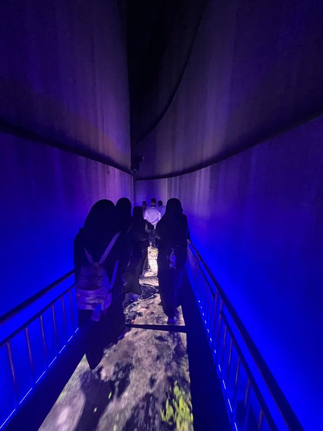 Im Tsunami-Museum wird die Höhe der Flutwelle erlebbar