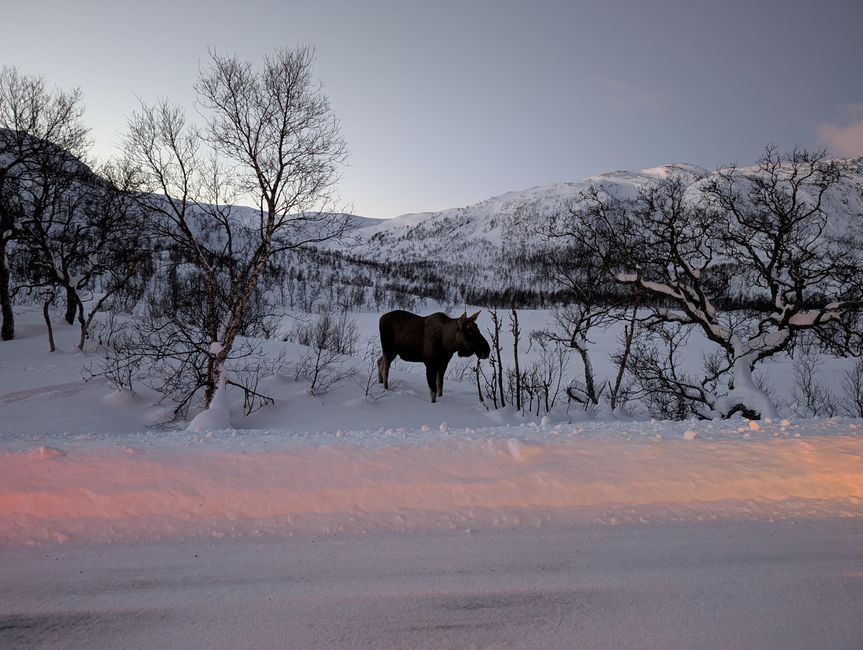 Norwegen - Tromsø im Winter