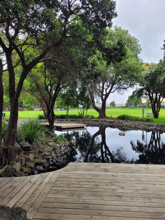 Día 68 de 175: Crucero alrededor del mundo - Tauranga/Nueva Zelanda