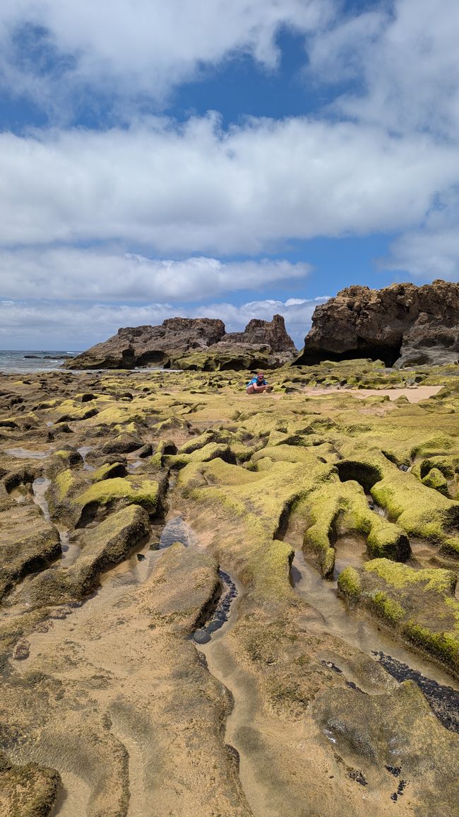 Tag 3: Porto Santo - Geheime Höhlen & bizzare Felsen am Meer