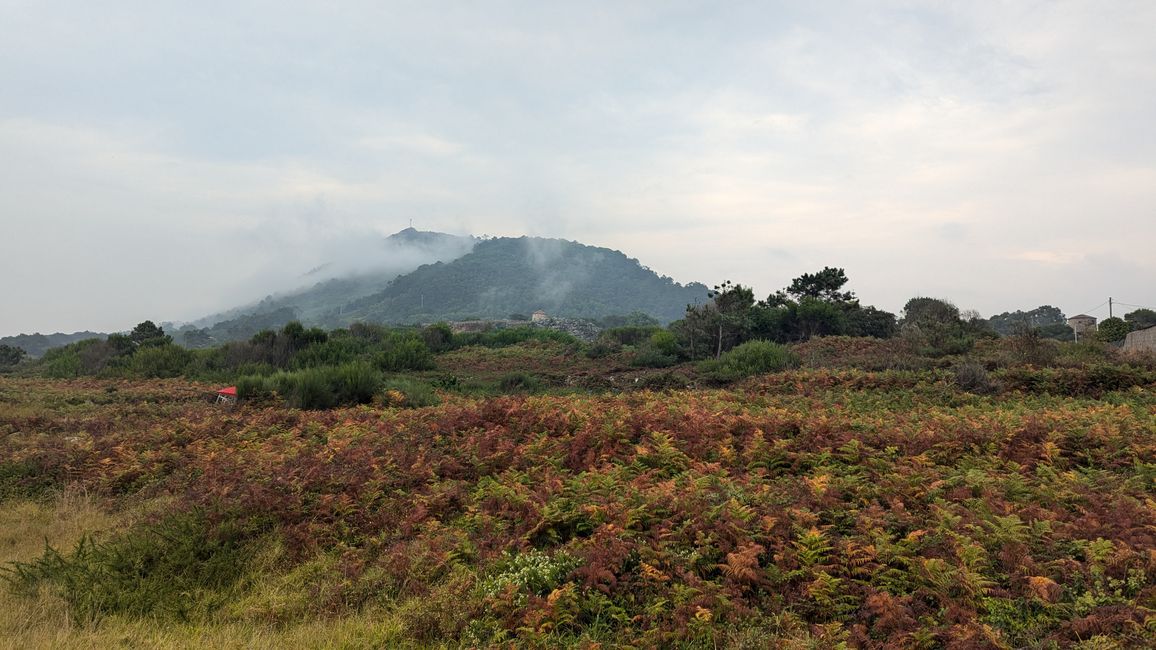 5. Stage Camino Portuguese da Costa from Ancora to A Guarda