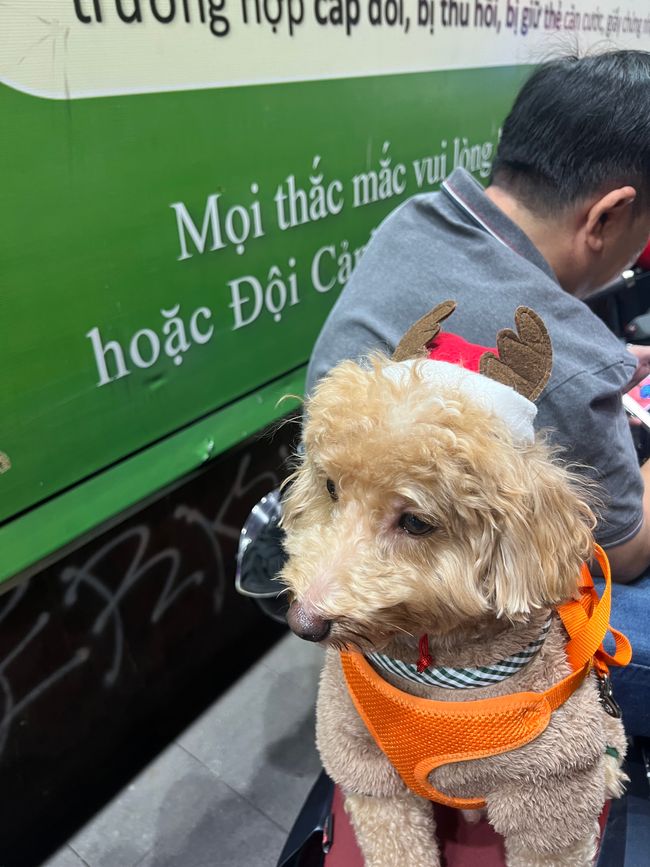 Tag 8 - Ho-Chi-Minh-City: A Crazy Christmas Eve in the Big City