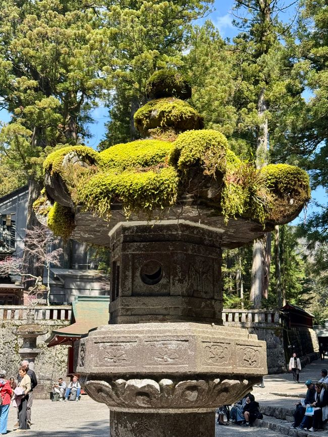 Parte 7
BENVENUTO IN GIAPPONE 🇯🇵
TOKYO
