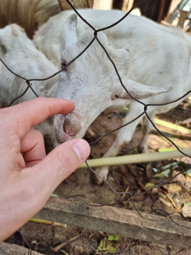 Tansania - Tag 7: Rückreise nach Arusha