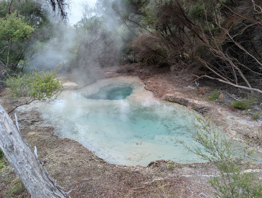 Turangi