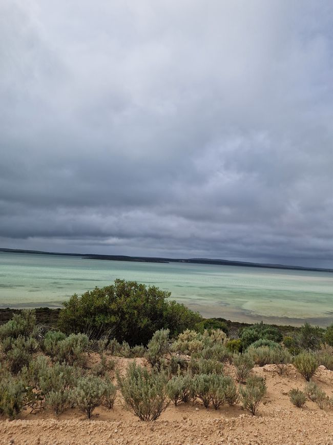 Shale Bay en el camino hacia los leones marinos