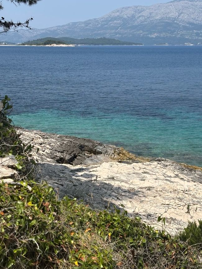 科尔丘拉-东部，南部和西海岸