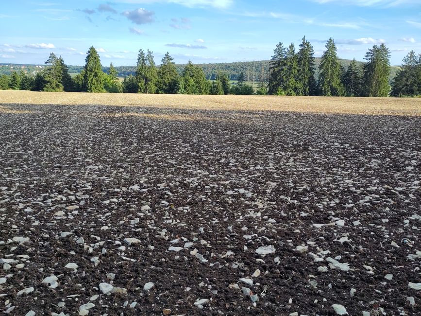 Stone-rich fields