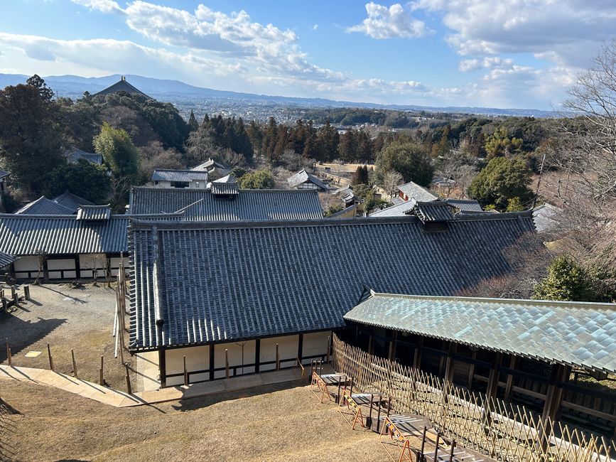 Nara - Tag 10