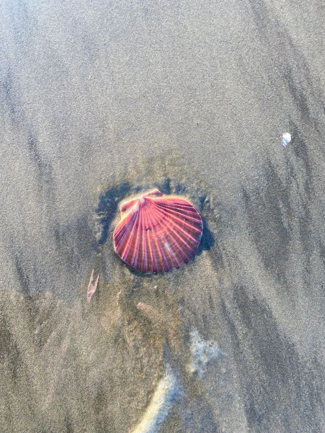 At the End of the World