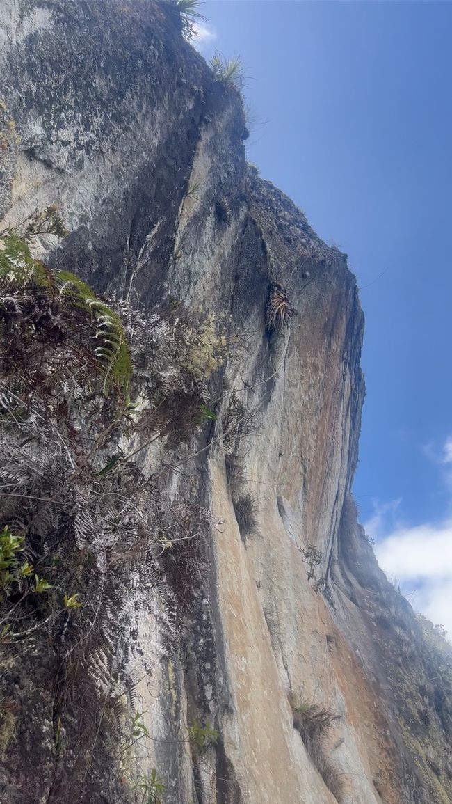 👷‍♂️标签 31-1 (3.11.) 马丘比丘，登上惠纳比丘山
