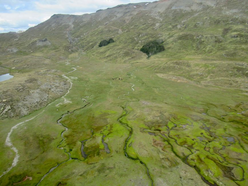 Gletscherglück