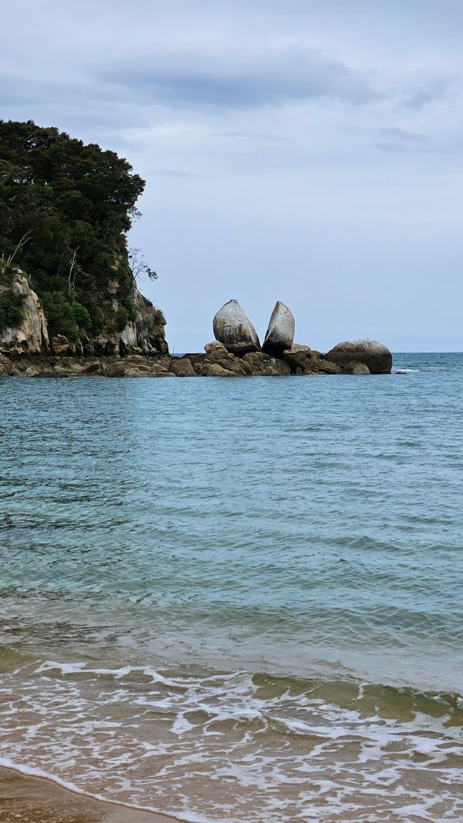 Abel Tasman Coastal Track