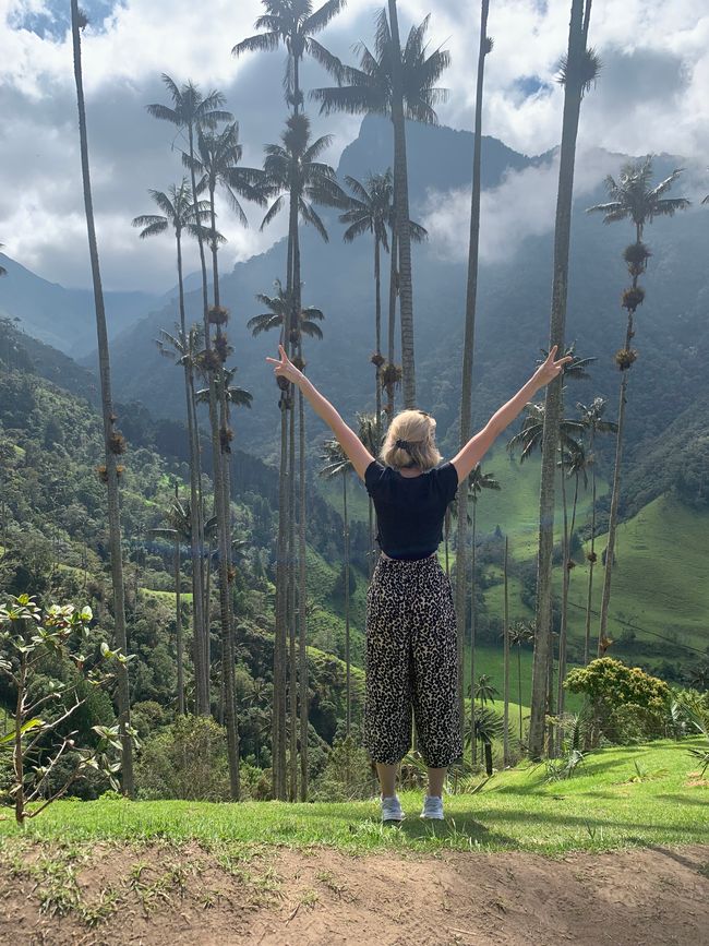 Día 4: Valle de Cocora 🌴, Salento 🏘️, Plantación de café ☕️