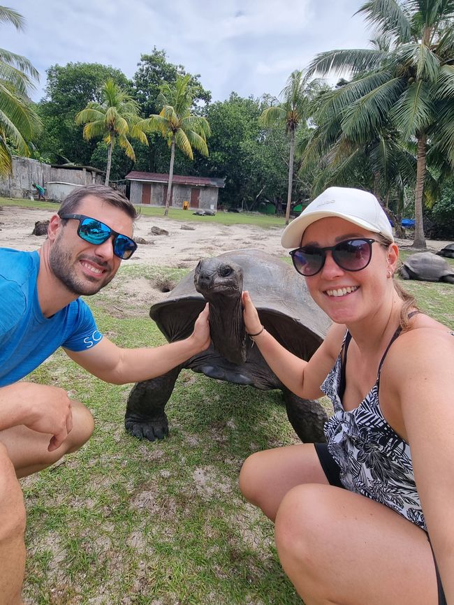 Seychellen - Tag 13: Schildkröteninsel, letzter Schnorchelgang und Heimreise