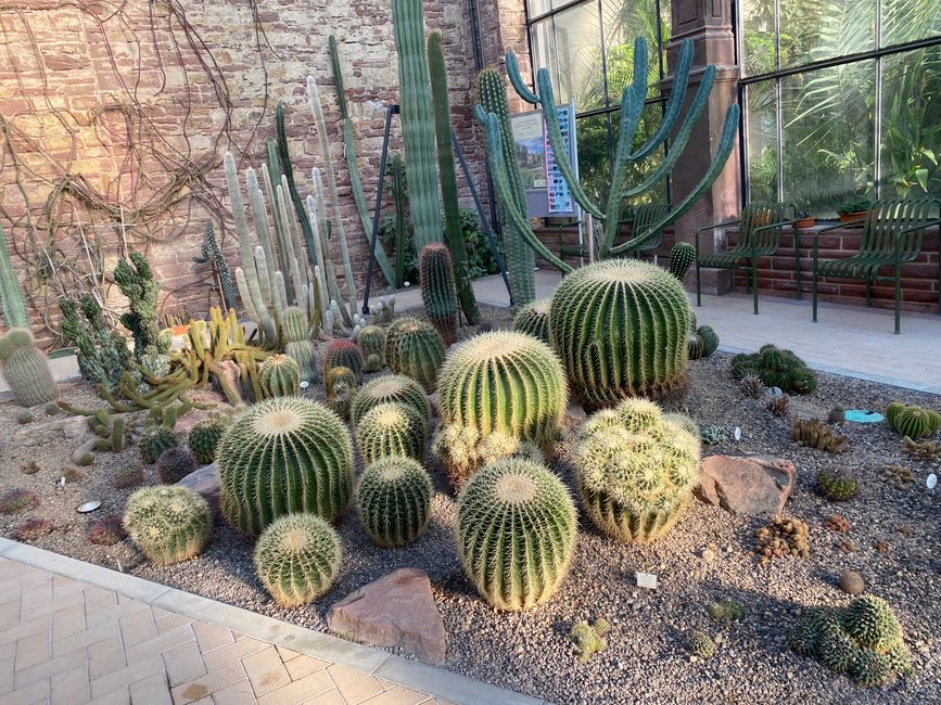 Schwiegermuttersitze in vielen Größen