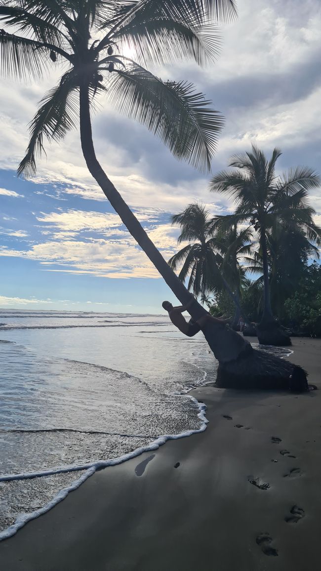 The Pacific coast of Costa Rica 🌊🦥