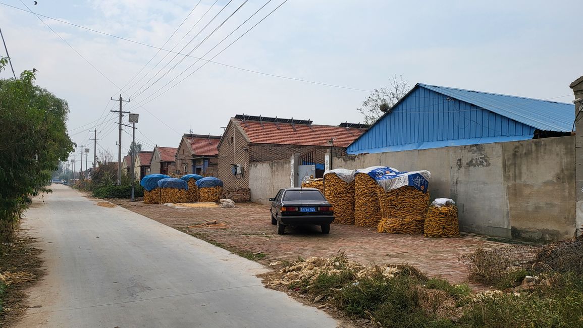 Corn cobs pile up in front of every house. 