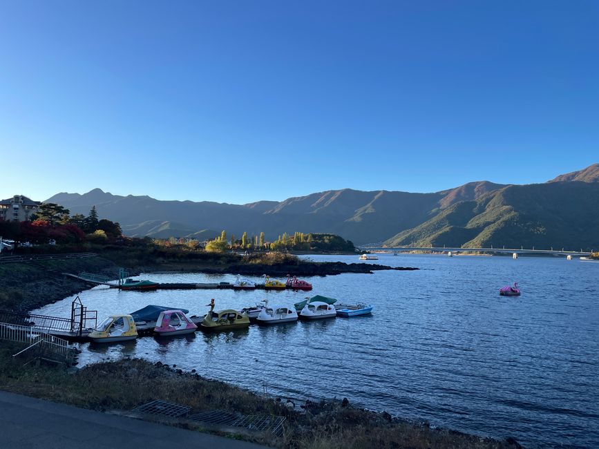 6. Ausflug zum Koli von Japan oder : Schon wieder ne fast-Katastrophe