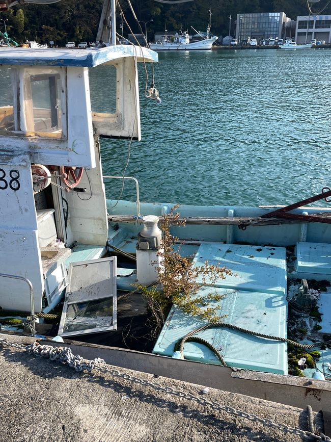 Wabisabi-Weihnachtsbaum?