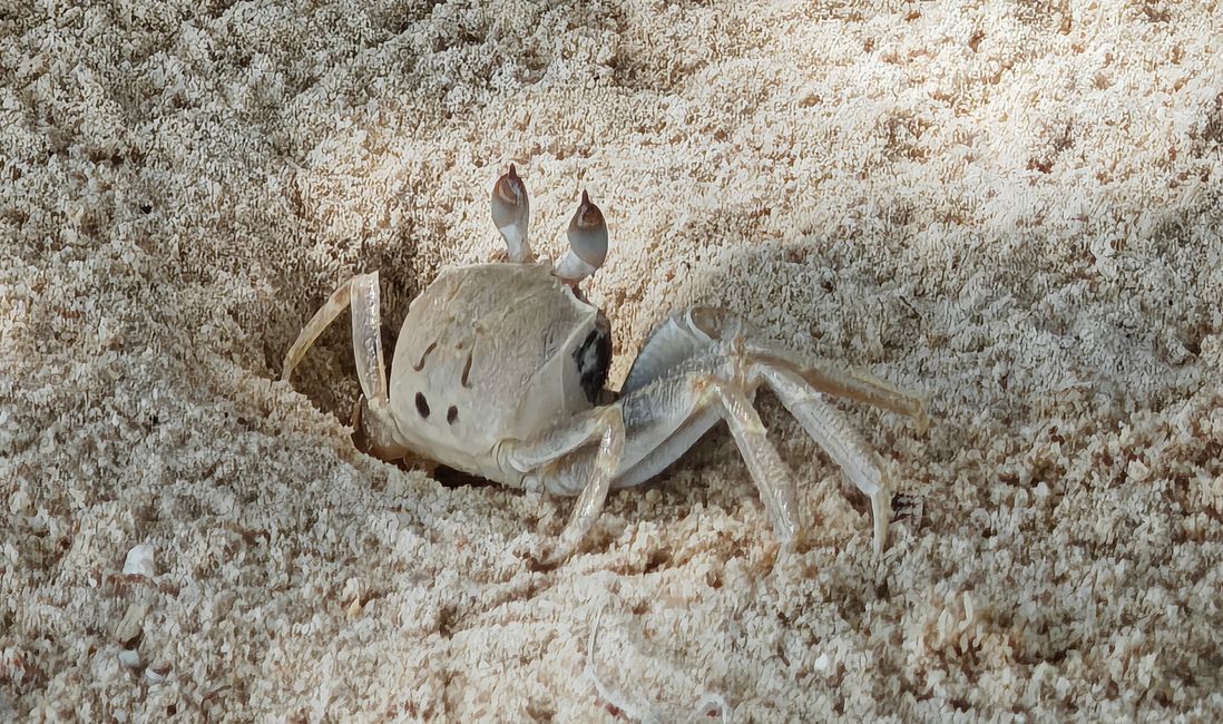 Koh Yao Yai