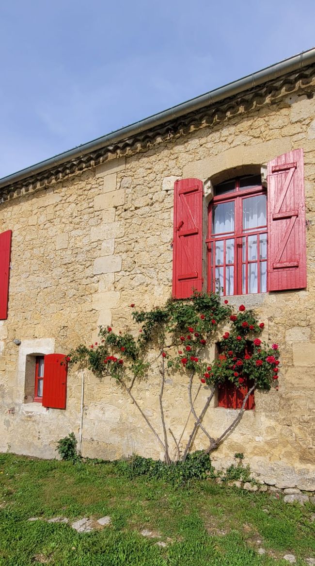 Bordeaux