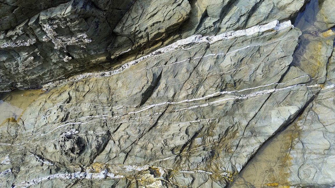 Newquay Glendorgal Headland