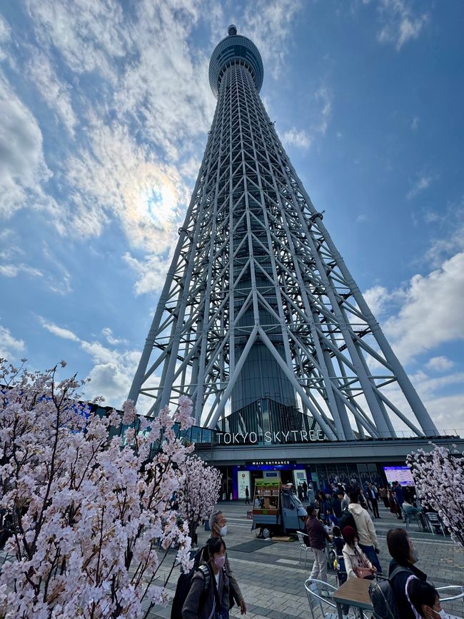 Parte 7
BENVENUTO IN GIAPPONE 🇯🇵
TOKYO