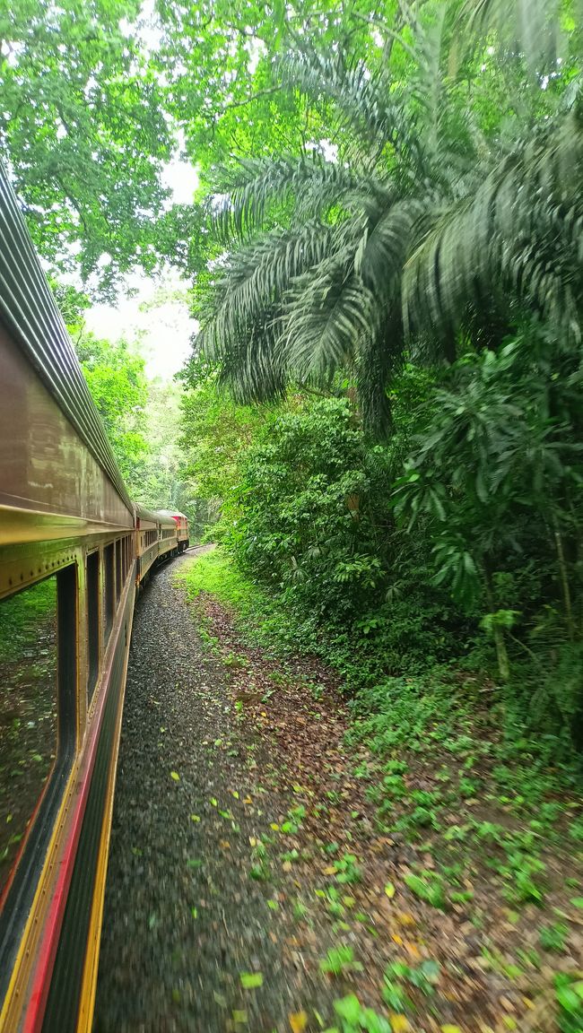 Panama Canal Railway 🚆