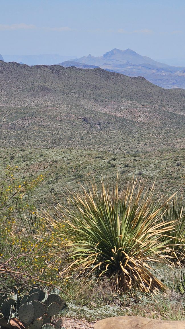 Mirador Sotol Vista
