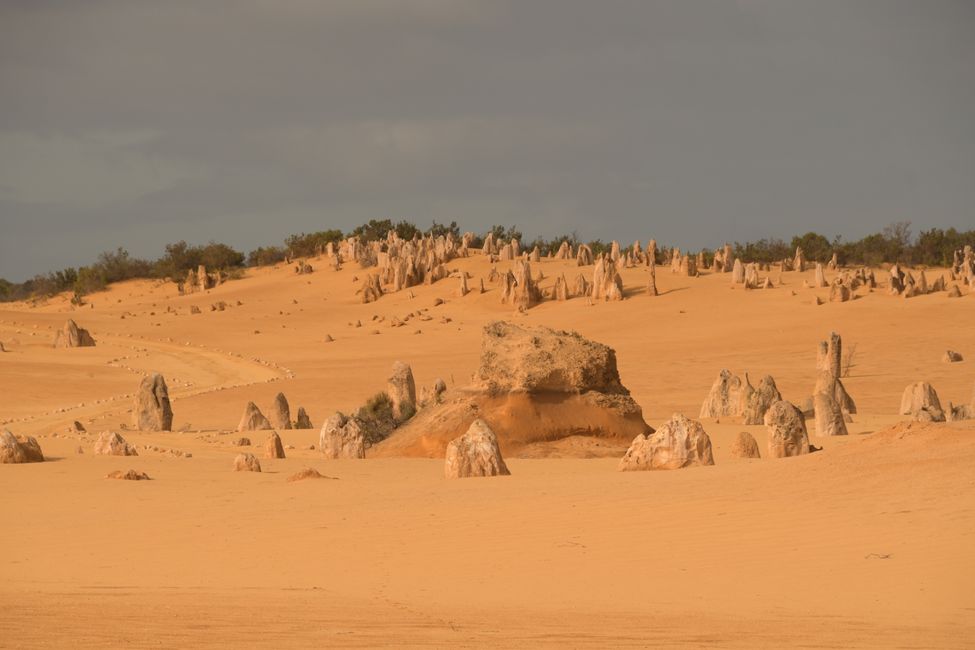 Nambung NP - Gesteins-Zinnen / Pinnacles