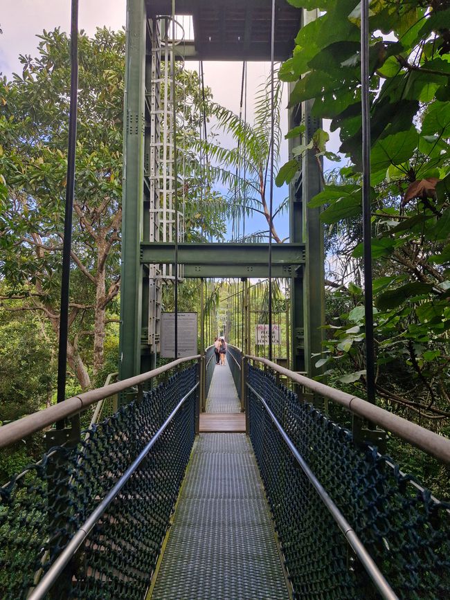 Riesige Hängebrücke