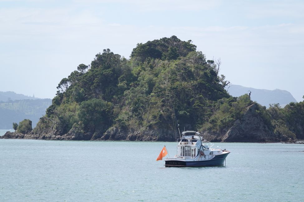 From Whangārei Heads to the Bay of Islands....