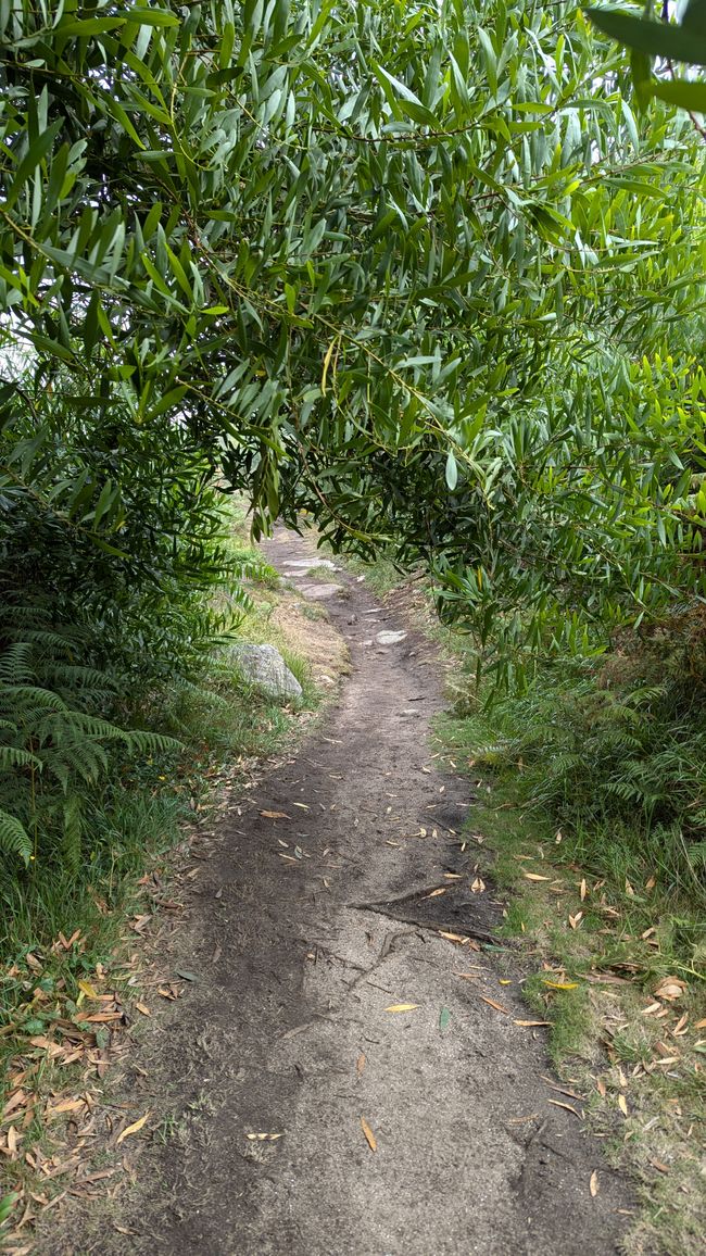 Sexta etapa del Camino Portugués de la Costa desde A Guarda hasta Viladeduso