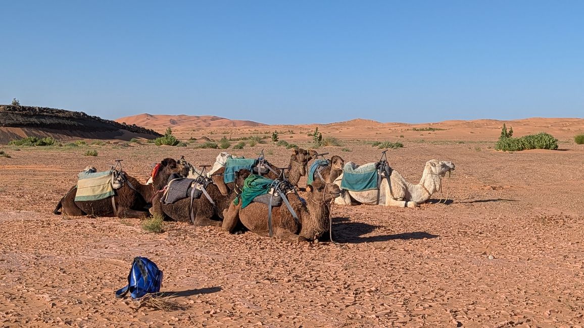 Tag 6: Merzouga / Hassilabied - Abenteuer in der Wüste